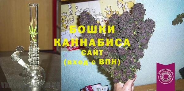 молекула духа Дмитров