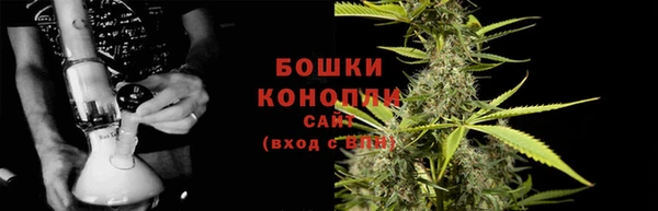 молекула духа Дмитров
