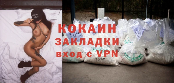 альфа пвп Дмитровск
