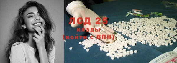 молекула духа Дмитров