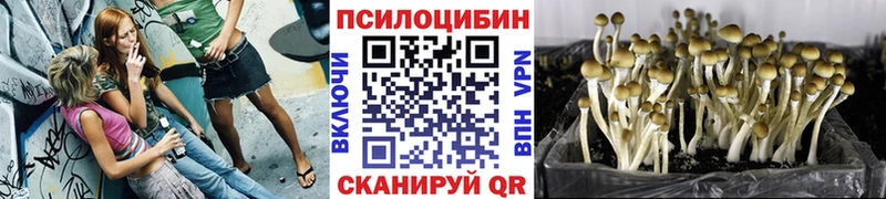 Псилоцибиновые грибы ЛСД Добрянка